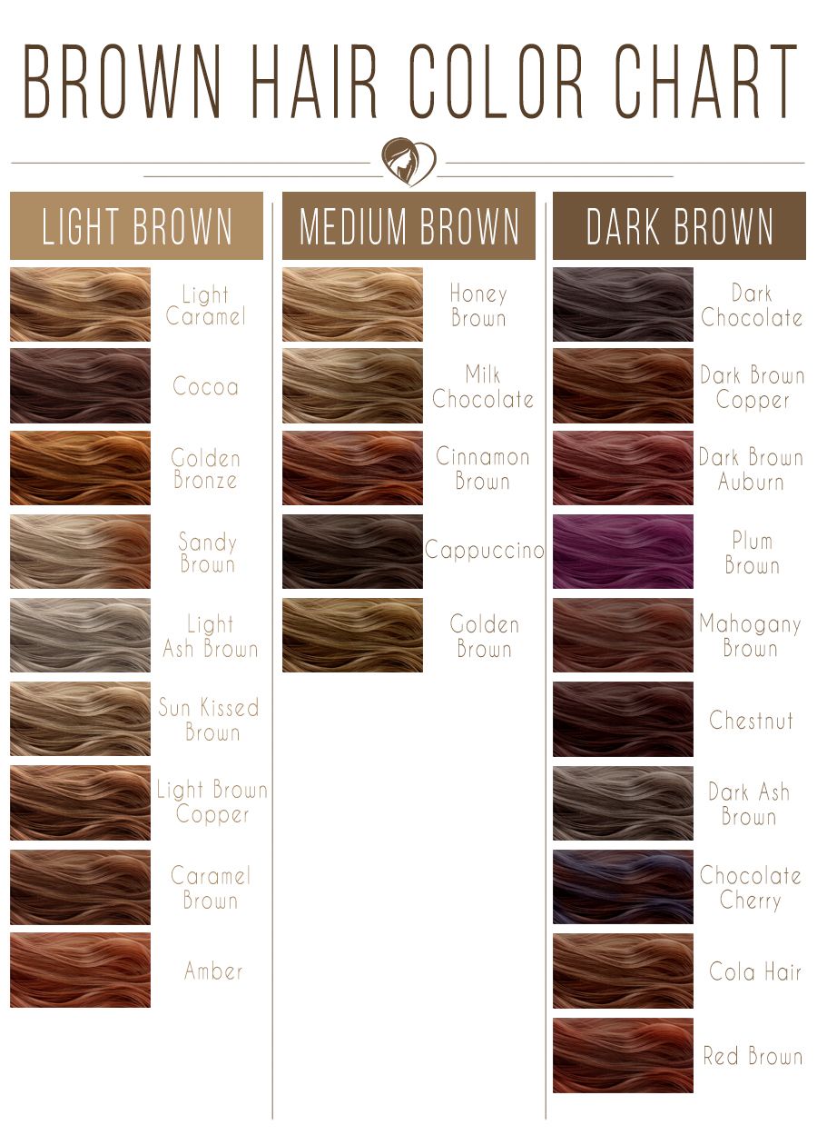 Light Brown Hair Color Chart #brownhair #brunette